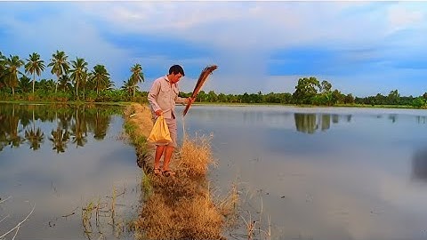 Cấm câu cá lóc. Soi cua đồng. Mùa nước nổi....