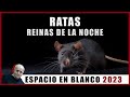 Espacio en Blanco - Ratas: Reinas de la Noche (19/03/2023)