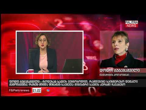 დოდო გუგეშაშვილი - როდესაც საქმეს ვეცნობოდით, რამდენიმე საინტერესო დეტალი გამოიკვეთა