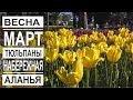 Турция: Аланья в марте. Море тюльпанов. Пляж и набережная в центре