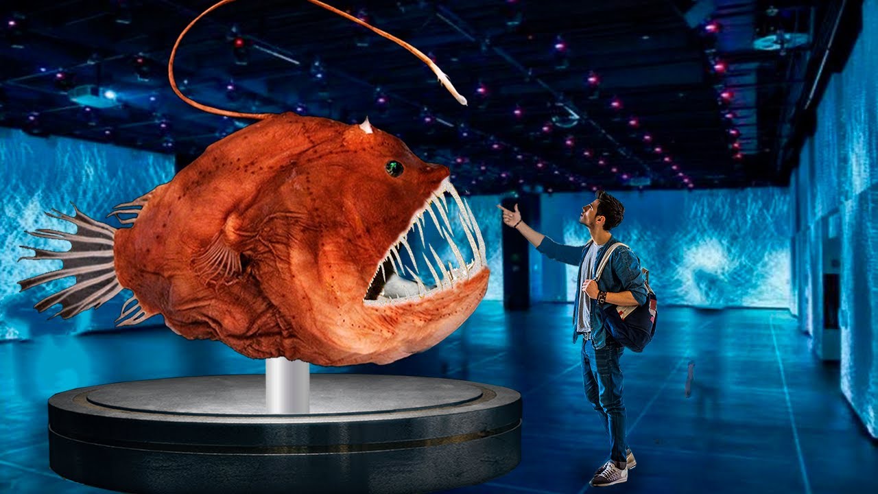 Are Angler Fish 7 Ft