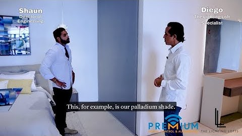 Lutron Palladium Shade