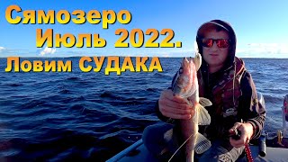:    //   2022//   //#team