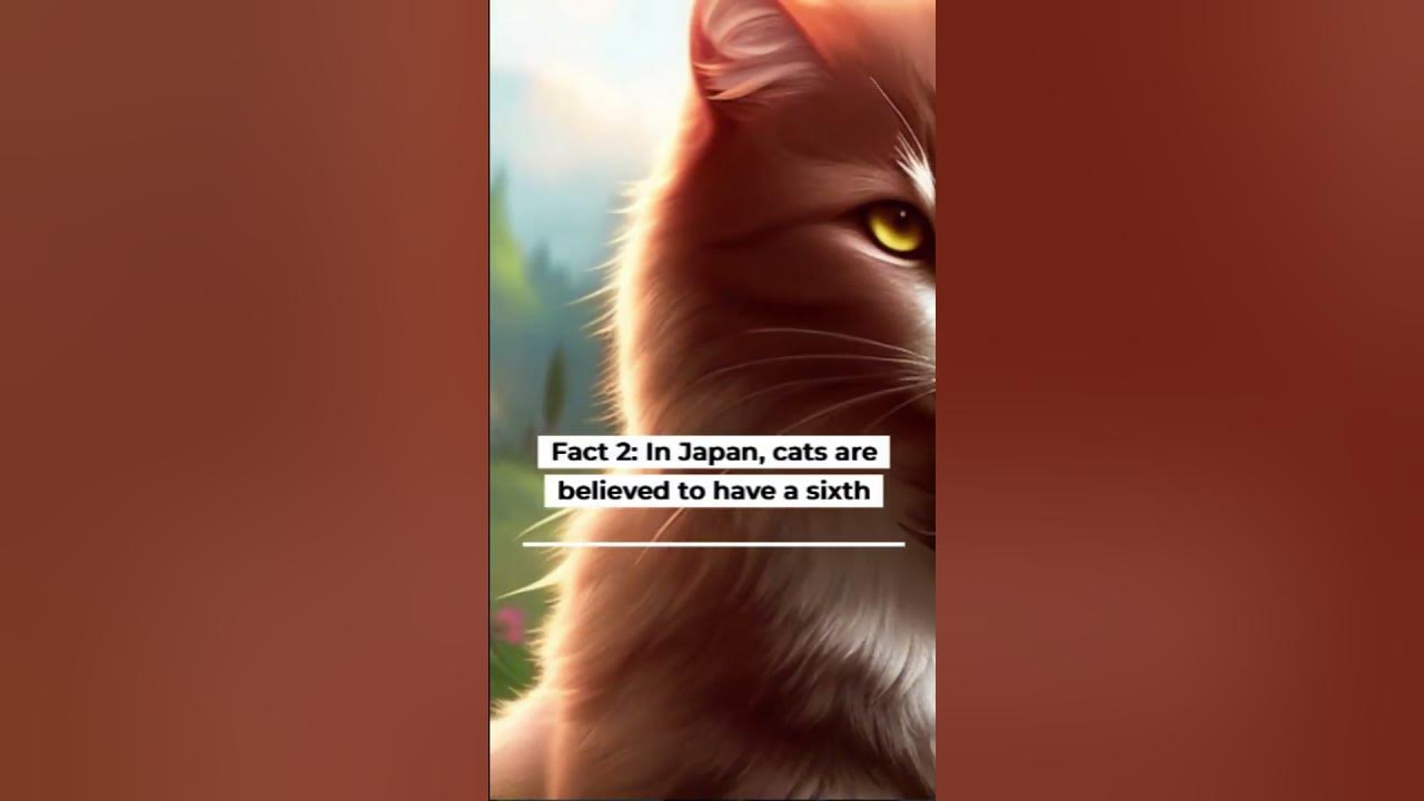 Fun Facts about Pet Loyalty YouTube