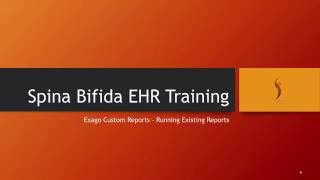 Exago -  Running Reports