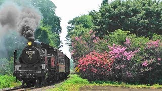 真岡鐵道SL　C11325東武鉄道転出記念　思い出の記録　四季を征くC11325「夏編」その3 2019 -12-1制作