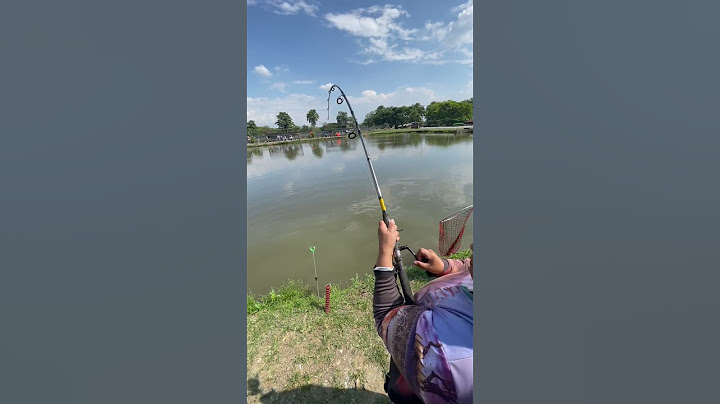 Pesca de bagre  10 LB
