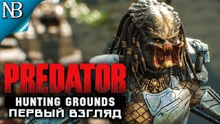 PREDATOR Hunting Grounds ● ХИЩНИК - ПЕРВАЯ ИГРА! ПЕРВЫЙ ВЗГЛЯД И РЕАКЦИЯ! ОТКРЫТАЯ БЭТА!