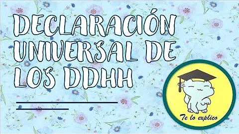 ¿Qué es el artículo 13 de la Ley de Derechos Humanos?