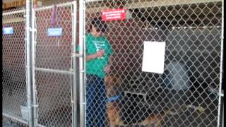 SafeHaven Humane Society's Canine Enrichment Program