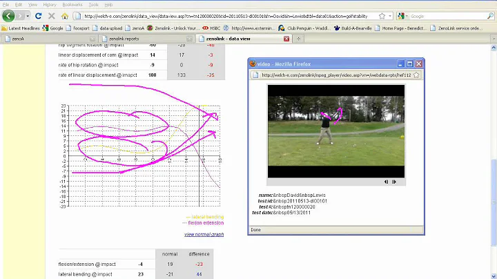 Zenolink Swing Analysis