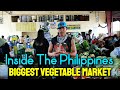 LA TRINIDAD BENGUET's VEGETABLE TRADING POST - Near Baguio City | VEGETABLE BAGSAKAN AREA