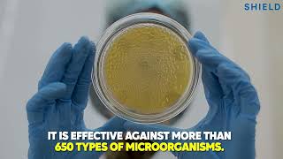 Shield Antimicrobial Bath Towel - The Ultimate Solution For A Clean And Fresh Bathroom Experience.