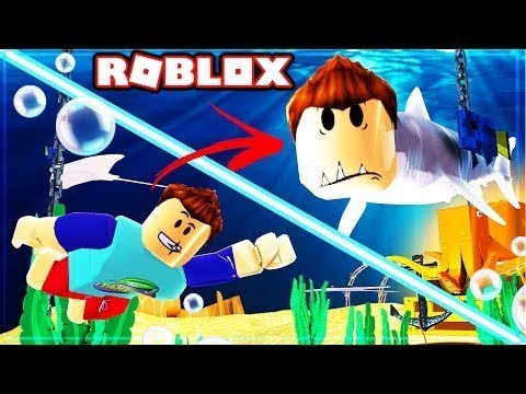 Mango Tango How To Become A Shark In Roblox Youtube - mango tango roblox