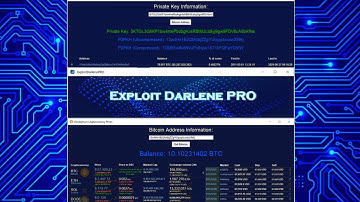 Lost Bitcoin Wallet 10.102 BTC decrypt the password for Wallet.dat using ExploitDarlenePRO + Tools№5