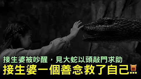 接生婆被吵醒，见大蛇以头敲门求助，一念之仁救了自己...【农村神话故事】 - 天天要闻
