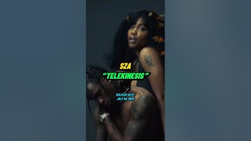 Artists Using Other Artists Flows! (SZA, Drake, Travis Scott)