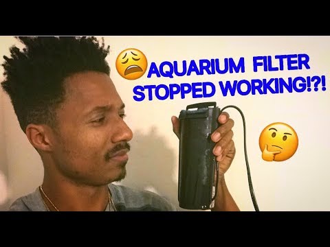 Video: Hoe te gebruiken Gangkleppen in een aquarium