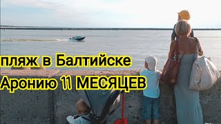 ВЛОГ : Пляж в Балтийске 🏖️ Аронию 11 МЕСЯЦЕВ 🎊 12.08.23