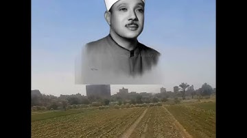 البقرة الآيات من 81 الى 90
