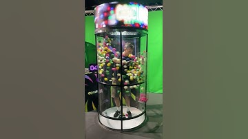 Cyclone360+ Digital gaming experience.