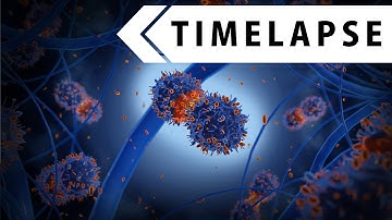 Virus Timelapse - Modeling, Texturing, Rendering (BLENDER TIMELAPSE)