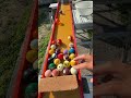 Marble Run ☆ Billiard Ball Run ♪①