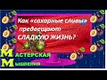 РЕЦЕПТ ВИЗУАЛИЗАЦИИ ДЛЯ СЛАДКОЙ ЖИЗНИ ОТ Преподобного Айка, СЧАСТЬЕ ЕСТЬ