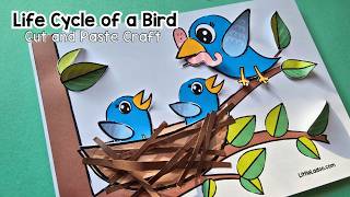 Bird Nest Craft for Kids | Life Cycle of a Bird