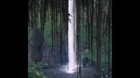 تلاوة القرآن بصوت المقرء #المنشاوي مع الطبيعة الخلابة تاخذك الى عالم آخر ما تيسر من#سورة_الواقعة