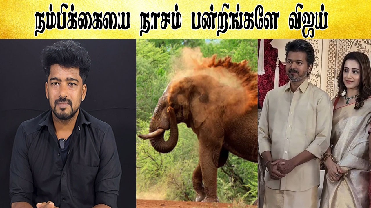 What bro இதெல்லாம் அசிங்கம்  bro - Tamil light