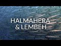 Best of scuba diving halmahera  lembeh aboard the msy seahorse   wallacea dive cruises