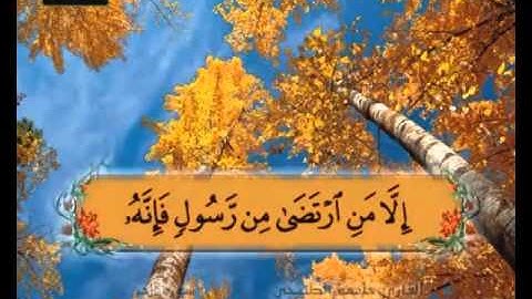 الجن 25 الى نهاية السورة  آية 28