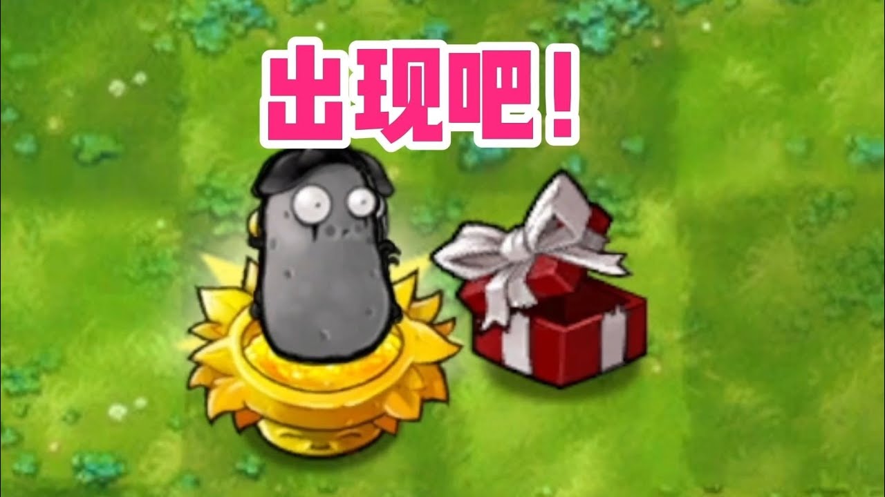 给我一个强势的植物！