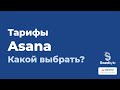 Asana - обзор тарифов | Базовый, Premium, Business, Enterprise