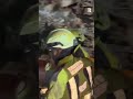 Venezuela, bambino di 11 anni estratto vivo dalle macerie tre giorni dopo il terremoto
