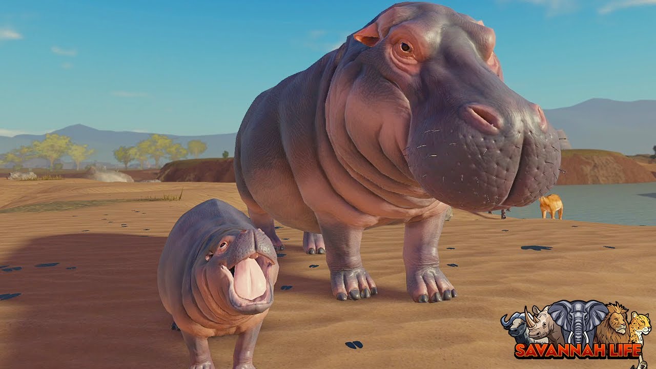 НОВОЕ обновление: Бегемот! | ROBLOX Savannah Life