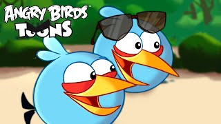 Angry Birds Toons Season 1 | Ep. 26 to 30
