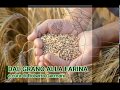 Come si fanno - dal grano alla farina