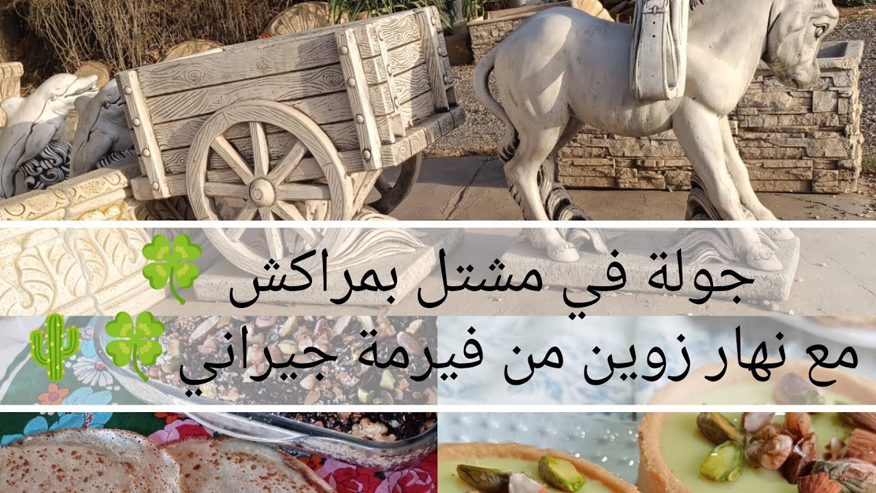 جولة في مشتل مع مشتريات للفيرمة 🌵💚نهار كلو طاقة وراحة نفسية 💚 مع بعض المعلومات حول بدايتنا فالفيرمة🌿