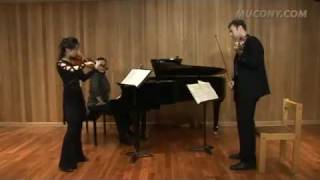 Brahms Violin Concerto  Lesson by Grigory Kalinovsky