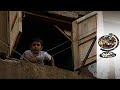 The Palestinian Refugees in Lebanon (2001)