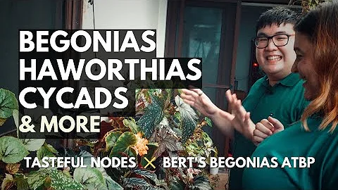 PLANTSPOTTING | Albert Howell Tang's Indoor Garden...