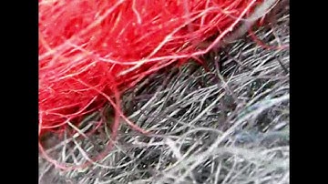 Can You Guess What This Zoomed in Object Is? EVERYDAY OBJECTS UNDER MICROSCOPE