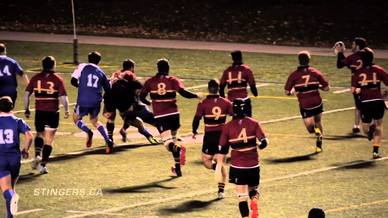 Stingers Men's Rugby Highlight Film // 2013 YouTube