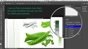 RetouchXPressCC2021 - Tutorial 9 - Spot-Color Print-Preview