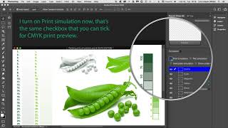 Details RetouchXPressCC2021 - Tutorial 9 - Spot-Color Print-Preview News