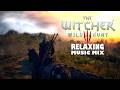 The Witcher 3: Wild Hunt OST Relaxing Music Mix for Studying