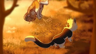 SEE YOU AGAIN - Swiftpaw and Brightheart unscripted MAP call