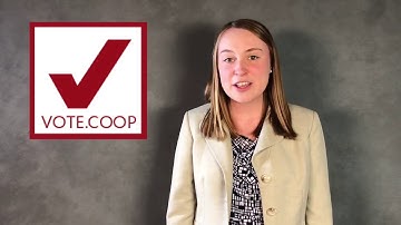 Voting 101 - Make a plan